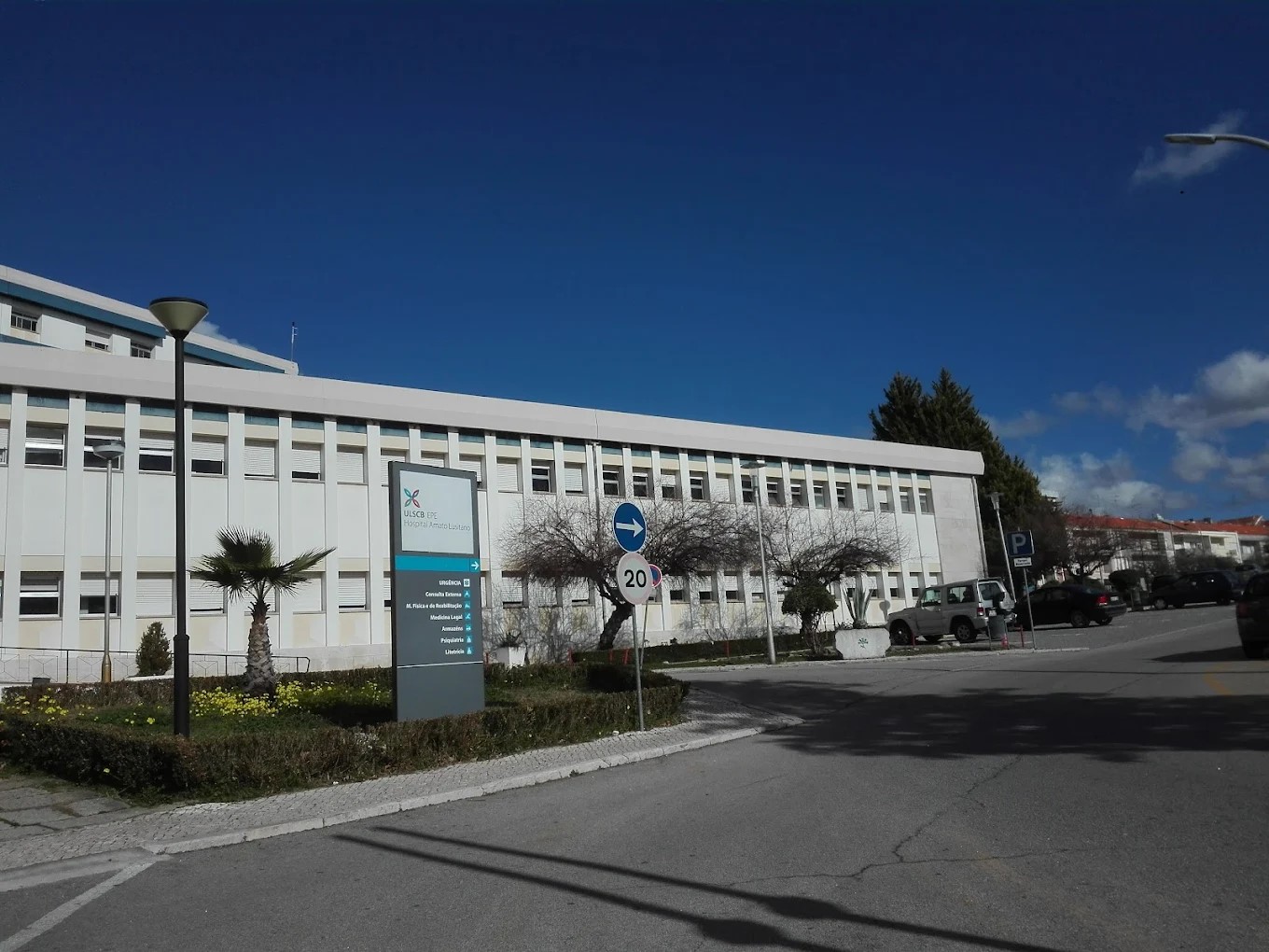 ULS Castelo Branco deu a conhecer o papel fundamental dos Terapeutas Ocupacionais no cuidado à população